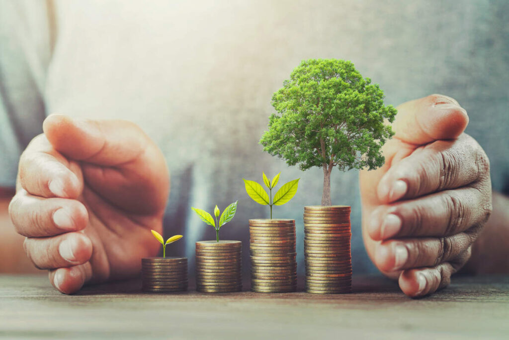 The Definitive Askari 11 Investment Report 2025: Cash, Trends & Future Hotspots